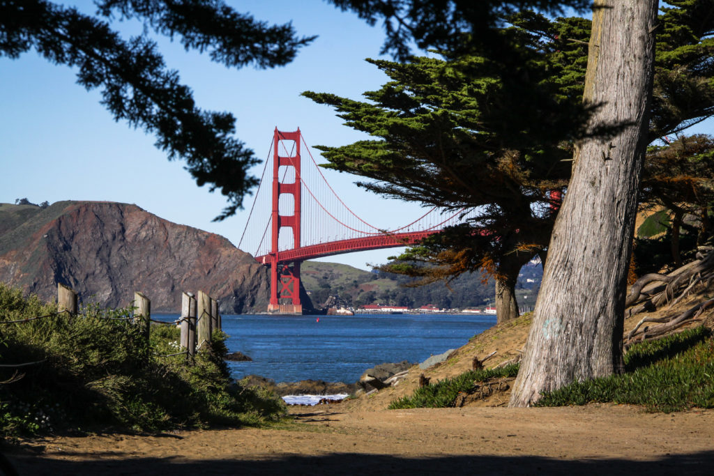 San Francisco Photo Shoot